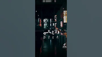 لسه مجاش اللي في يوم يعكرلي مزاجي 