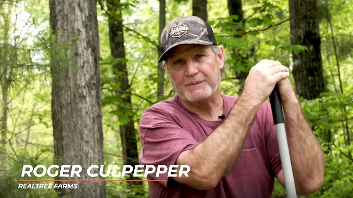 Planting a Small Garden - With Roger Culpepper