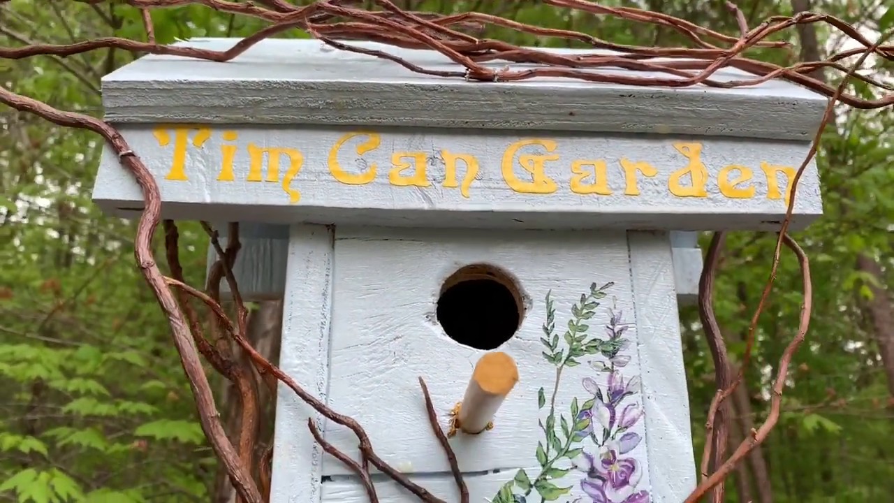 Building a Birdhouse YouTube