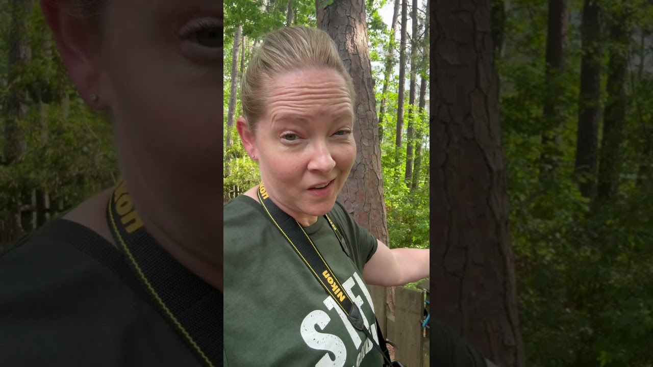 The Flock birding community is live! Check it out!  