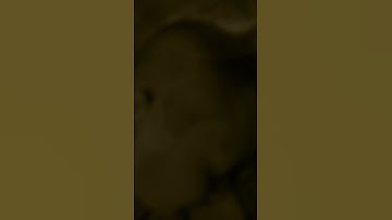 Cách làm biến mất sẹo nhờ xăm chân tóc #lamdep #reviewxămtóc