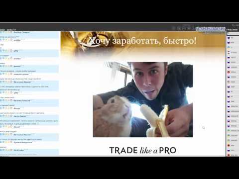 как я торговал на d1 как я торговал на d1