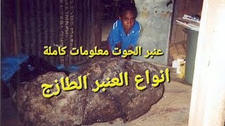 العنبر الطازج عنبر الحوت معلومات هامة وكاملة شاملة عن العنبر الحيتان أنواع العنبر