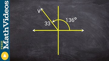 Write the vector in component form given the magnitude and direction