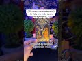 LECTURA DE TAROT PERSONALIZADA #capcut #amarras #mexico #chicago #texas #estadosunidos 🗽🇺🇲
