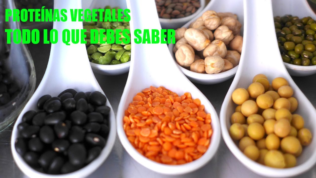 PROTEÍNAS VEGETALES - Todo lo que tienes que saber