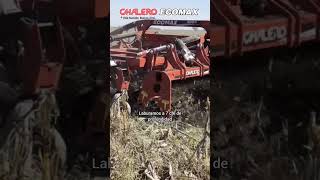 Puesta en marcha Chalero Ecomax🦾en lote húmedo🌦️