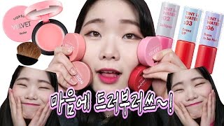 완조니 마음에 드러부러쓰~! [아리따움 틴트 인 워터 & 슈가볼 블러셔 4종 리뷰!] 0zoo 영주