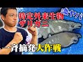 35.加藤VS特定外来生物の激ヤバザリガニ軍団!?一斉摘発大作戦！！