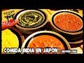 RIKUGIEN PARK Y COMIDA INDIA [LJAP 124]