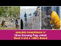 ARALING PANLIPUNAN IV: Likas Kayang Pag-unlad Week 5 and 6 -MELC Based Mp3 Song