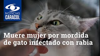 Muere mujer en Neiva tras ser mordida por gato infectado con rabia: ¿cómo evitar estos casos?