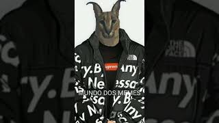 FLOPPA VS DOGE #shorts #edit #batalha