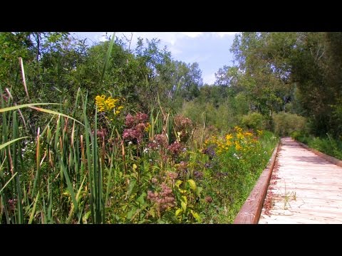 Washtenaw County's Natural Areas Preservation Program (NAPP)