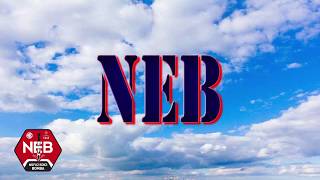 Sığınak Delici Bomda Neb (Nüfuz Edici Bomba)