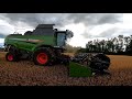 Fendt 6335c (Harvesting mixed cereals)