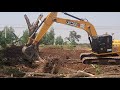 งัดตอต้นจามจุรี JCB JS205sc ล้มต้นตาล แรงดีไม่มีตก excavator EP.8204