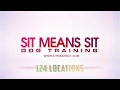 Dog Training Group Class - Sit Means Sit Minneapolis Dog Training Group Class - Sit Means Sit Minneapolis