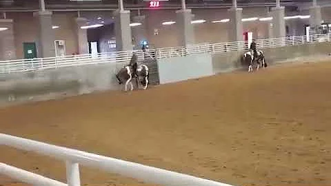 Ready Set Lope GHR Gelding Owner Sandra.D Stuckey