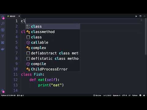 Python #80 - Inheritance [By Mosh Hamedani]