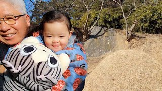 [SUB] A cute Korean kid visits great grandpa's grave with grandpa.⚰️ (23 months baby)