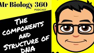 Chapter 12-1 The Components and Structure of DNA