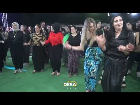Sipan Xelat - Halay - Hazal & Orhan Düğün Töreni | 2023 Karacadağ /Part-2