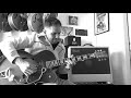 I'll see you in my dreams - Merle Travis cover