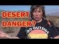 Rattlesnakes! Cacti! Washes! How to Stay Safe in the Desert (for You & Your Pets)