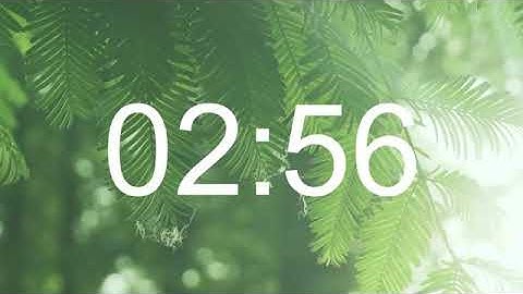 3 Minutes Timer music bird, relax music with nature sounds in the forest. RELAX DAILY