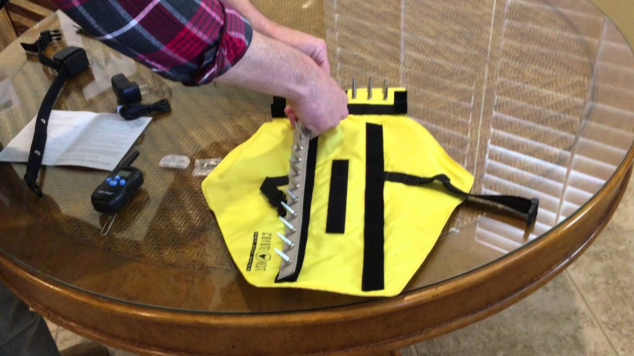 Coyote Zapper Setup And Demo YouTube