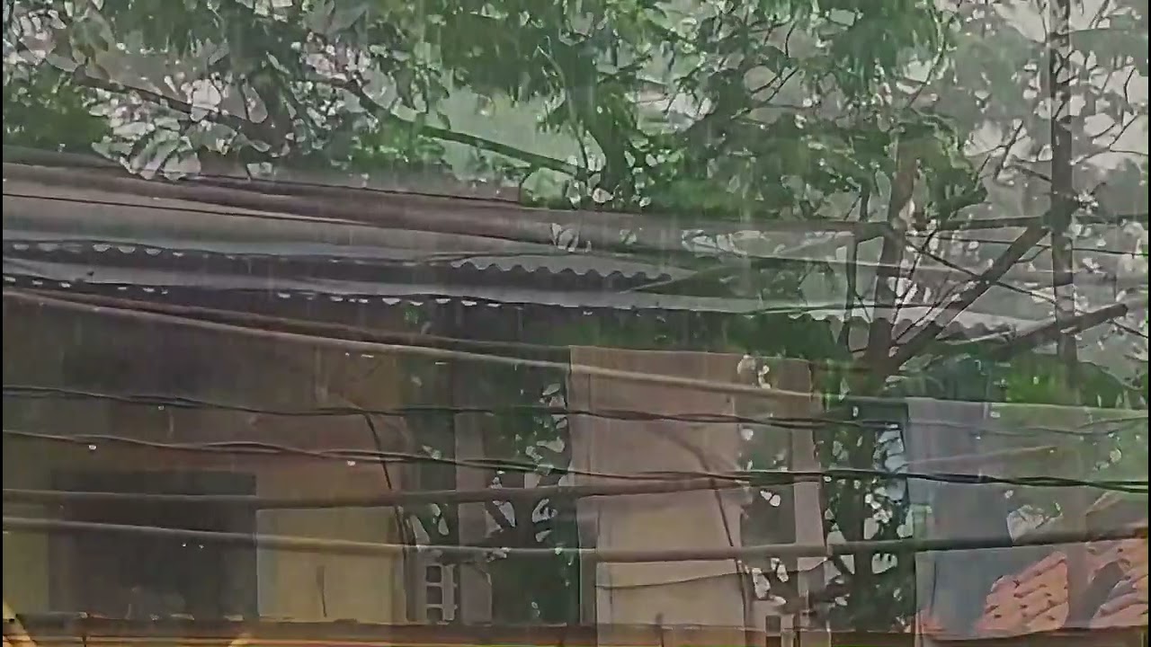 Real Rain Sounds at Night 🌲 The Ultimate Deep Sleep & Stress Relief