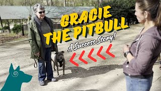 A Pitbull Success Story!