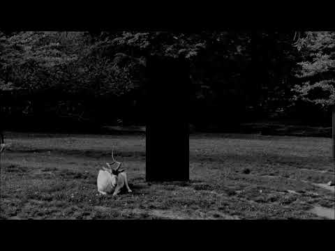 Punk music video thumbnail preview for Overlook - Residual