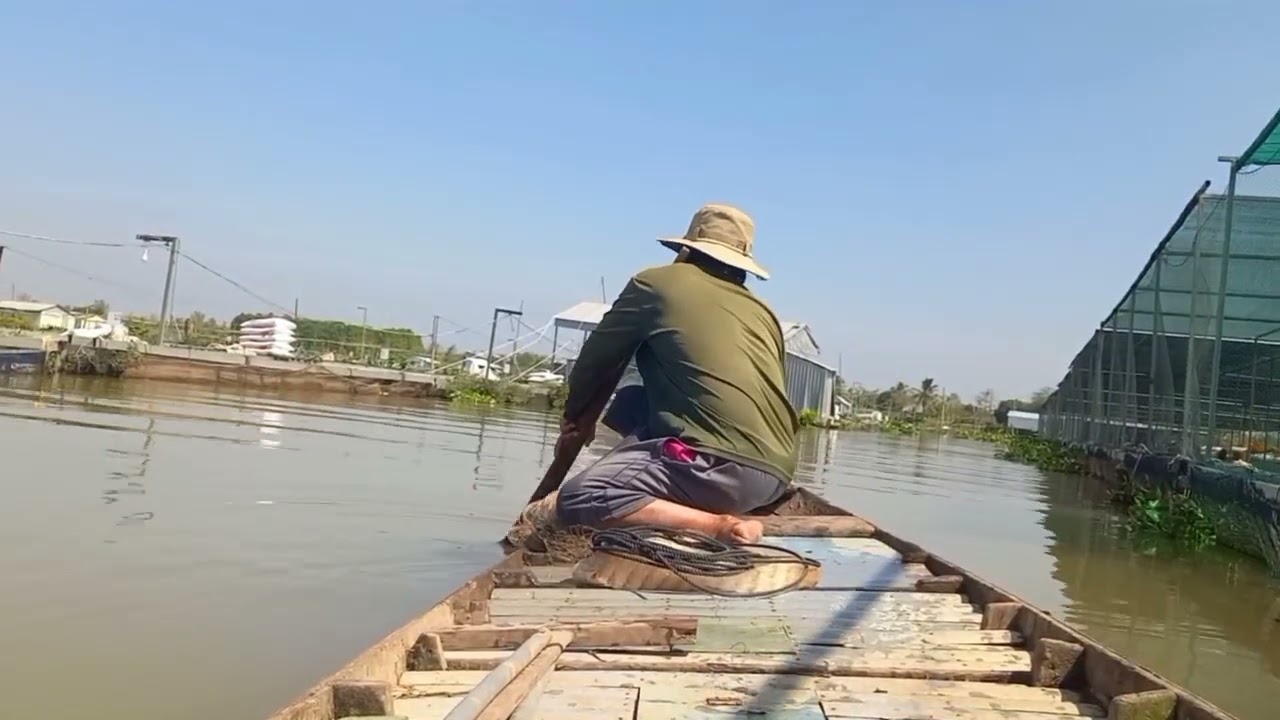 Đi chày cá thiên nhiên