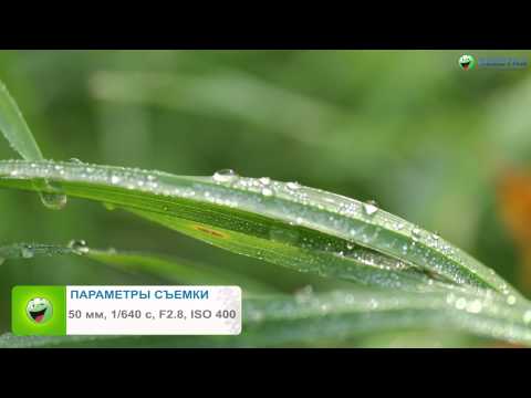 Обзор фотоаппарата Samsung Galaxy NX на ОС Android Обзор фотоаппарата Samsung Galaxy NX на ОС Android