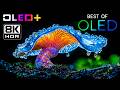OLED DEMO - Magnificent Planet Views in 8K HDR | Dolby Vision™