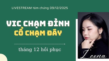 Tám chứng 09/12/2025: VIC chạm đỉnh, cổ chạm đáy