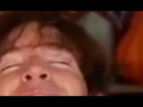 Flamingo crying on video (100000% real) 😱😱😱