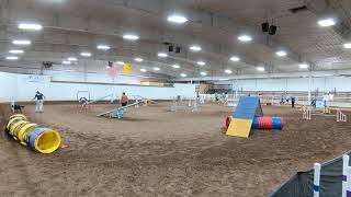 Q! AKC Standard Masters 16P 8/18/24