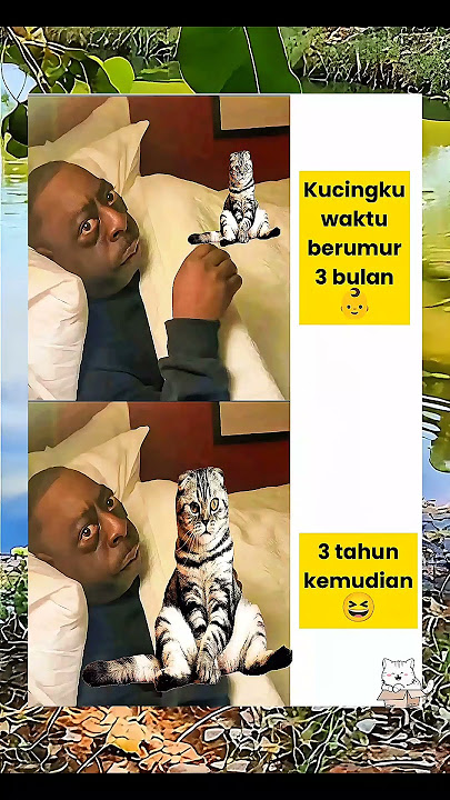 ‼️Nakal boleh tapi jangan tinggalin mimin ya 🥲 #kpop #treasure #bts #music #hewan