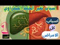 أسباب تغي ر الخلط الصفراوي لماذا تظهر الأمراض الصفراوية الطب الصيني الوظيفي التغذية العلاجية