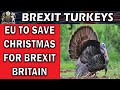 EU to Save Christmas?