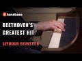 Beethoven S Für Elise Performed By Seymour Bernstein 