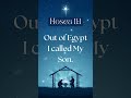 Day 12 of our 25-day journey leading to the birth of Jesus. The Promise Draws Near