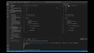 Visual Studio For Loop Using User Print C