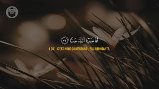 ❤️ Tarek Mohammad (طارق محمد) | Sourate Abasa (سورة عبس)  | ❤️ Magnifique récitation ❤️