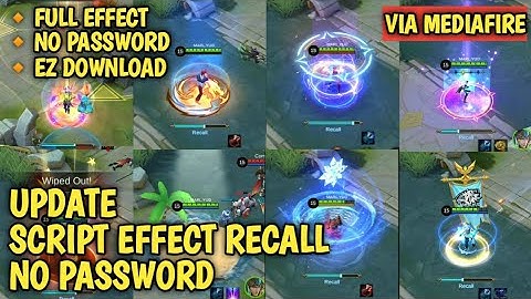 SCRIPT EFFECT RECALL PATCH DRAGON TAMER FULL EFFECT !! NO PASSWORD !!