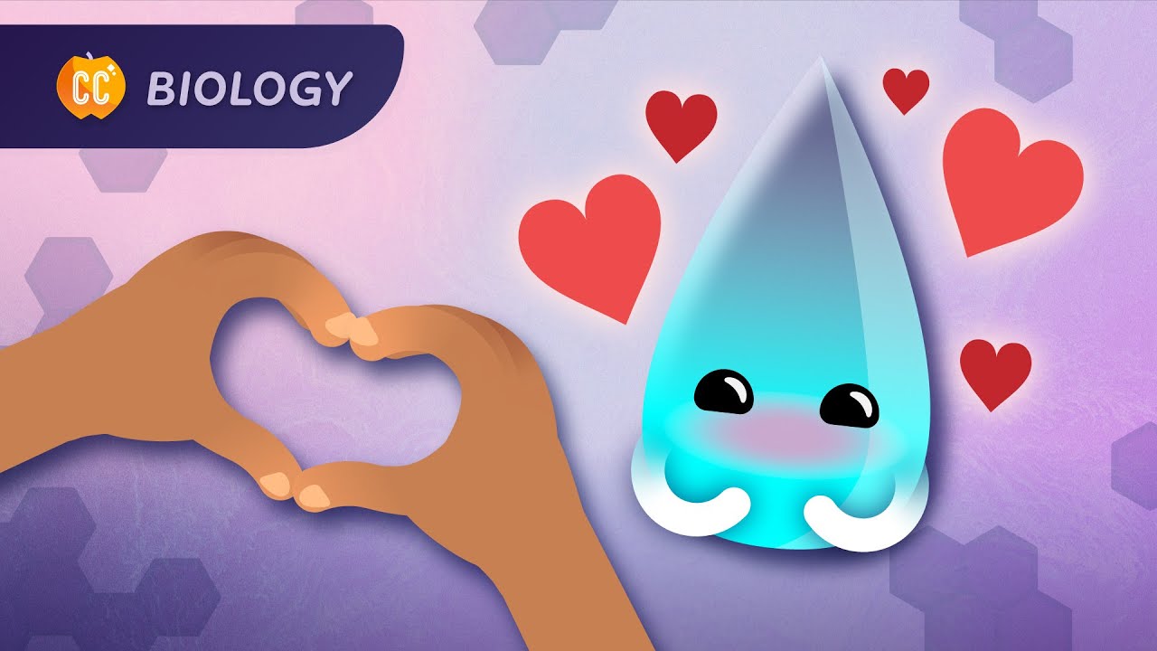 A Love Letter to H2O: Water & pH: Crash Course Biology #21