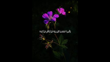 سوره الفرقان | الايه ٧١ حتى الايه ٧٥| الشيخ محمد اللحيدان - القران الكريم #المصحف_الشريف